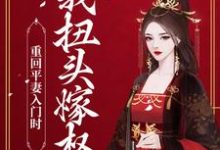 已完结小说《重回平妻入门时，我扭头嫁权王》章节免费阅读-经典文学