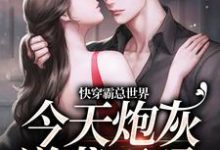 完结版《快穿霸总世界：今天炮灰逆袭了吗》章节目录在线阅读-经典文学