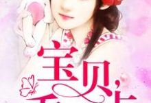 宝贝乖一点小说全文哪里可以免费看?-经典文学