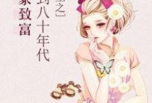 重生之回到八十年代发家致富苏袖袖季成安姜昱顾圆圆小说在线章节免费阅读-经典文学