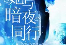 她与暗夜同行小说免费资源，她与暗夜同行在线阅读-经典文学