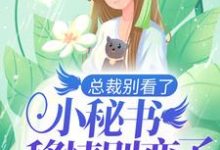 已完结小说《总裁别看了，小秘书移情别恋了》在线章节阅读-经典文学