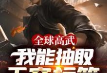小说《全球高武：我能抽取无穷标签》章节阅读-经典文学