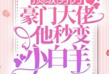 小说《顶级势力,豪门大佬他秒变小白羊》章节免费阅读-经典文学
