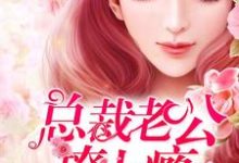 婚宠入骨：总裁老公撩上瘾唐向暖陆霆琛，婚宠入骨：总裁老公撩上瘾小说免费阅读-经典文学