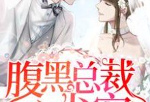 腹黑总裁心尖宠顾卿歌陆长霆,腹黑总裁心尖宠最新章节-经典文学