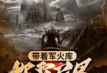 免费在线阅读带着军火库称霸异界小说的正规网站有哪些？-经典文学
