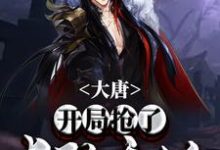 大唐：开局抢了长孙无垢小说的免费阅读版本在哪里可以找到？-经典文学