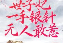 小说《被逼替嫁:世子妃一手银针无人敢惹》在线章节阅读-经典文学