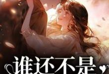 丁梨程北归的故事在哪本书里？免费阅读谁还不是开飞机的了-经典文学