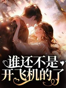 谁还不是开飞机的了小说全文阅读需要付费吗？寻找免费资源
