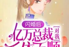 陆清清盛明羲小说在哪里可以看-经典文学