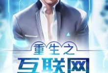 张思云邹晓薇王浩为主角的小说好看吗?免费读重生之互联网大佬-经典文学