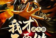 武一方杰为主角的小说我才不要做武大郎在线阅读-经典文学