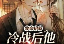 李书妤许况为主角的小说叫什么？免费看致命招惹：冷战后他靠撒娇求和-经典文学