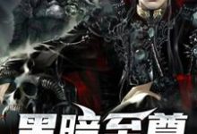 小说《黑暗至尊》章节免费阅读-经典文学