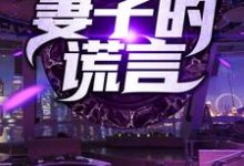 已完结小说《妻子的谎言》在线章节阅读-经典文学