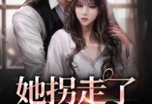 《她拐走了清冷大佬》小说章节列表免费试读，林晚陆醉寒小说在线阅读-经典文学
