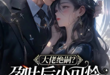 小说《大佬绝嗣？孕吐后小可怜一胎三宝》在线章节阅读-经典文学