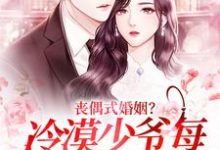 寻找能够免费阅读丧偶式婚姻?冷漠少爷每日掐腰狂吻小说的平台-经典文学