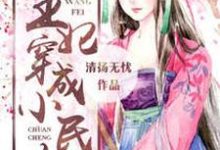 《王妃穿成小民女》全集免费在线阅读（云怀权贵傅云怀）-经典文学