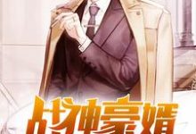 战神豪婿林轩秦婉儿林小瑜姬无双，战神豪婿章节在线阅读-经典文学