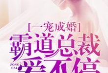 乔惜萧晏城是哪本书的主角?寻找一宠成婚:霸道总裁爱不停免费阅读-经典文学