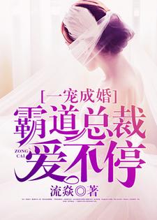 乔惜萧晏城是哪本书的主角？寻找一宠成婚：霸道总裁爱不停免费阅读