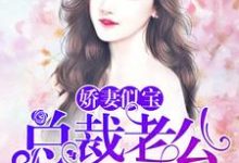 娇妻似宝：总裁老公太难缠小说，娇妻似宝：总裁老公太难缠最新章节-经典文学