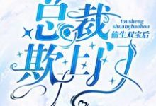 《偷生双宝后,总裁欺上门》小说主角秦诺封佑安章节章节免费在线阅读-经典文学