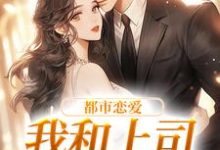 完结版《都市恋爱：我和上司he了》章节阅读-经典文学