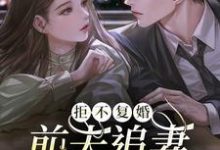 已完结小说《拒不复婚：前夫追妻杀疯了》最新章节-经典文学
