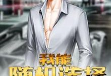 我能随机选择小说无弹窗阅读的网站推荐-经典文学