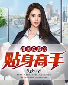 林川苏浅云为主角的小说叫什么？免费看绝美总裁的贴身高手