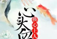 男女主人公叫玉秋姿顾月华颜淡的小说免费资源-经典文学