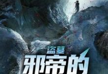 盗墓：邪帝的背后灵这本小说在哪里可以看？哪里有免费试读章节？-经典文学