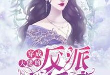 寻找能够免费阅读穿成大佬的反派小娇妻小说的平台-经典文学