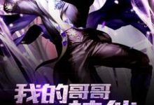 我的哥哥是神仙小说全文阅读需要付费吗?寻找免费资源-经典文学