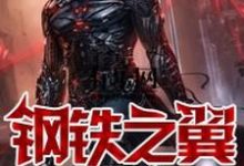 《钢铁之翼》全集免费在线阅读(双世阎摩)-经典文学