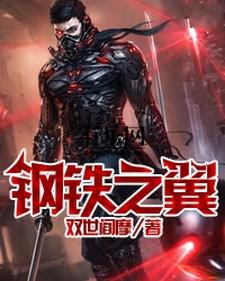《钢铁之翼》全集免费在线阅读（双世阎摩）
