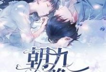 主人公苏庭芜湛零小说朝九晚五在线章节阅读-经典文学