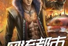 魏羡林清雨叶北辰丁灵是哪本书的主角？寻找风流都市之盗帅免费阅读-经典文学