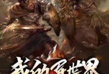 我的异世界（张泽卡莫笛）在线免费阅读-经典文学