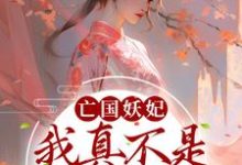 已完结小说《亡国妖妃,我真不是故意当祸水》在线章节阅读-经典文学