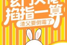 在线寻找宁问问宁木苍的小说，玄门大佬掐指一算，渣父要倒霉了免费阅读-经典文学