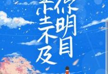男女主人公叫夏满陆明庭的小说免费资源-经典文学