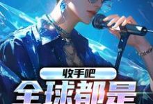 收手吧，全球都是我的歌小说完结版章节免费阅读-经典文学
