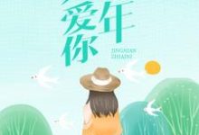 经年只爱你这本小说完结了吗?免费查看最新章节-经典文学
