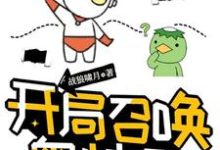 王英俊为主角的小说好看吗？求开局召唤奥特曼免费试读-经典文学