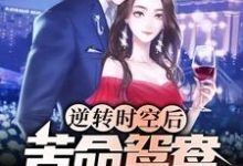 小说《逆转时空后，苦命鸳鸯终成眷属》章节阅读-经典文学